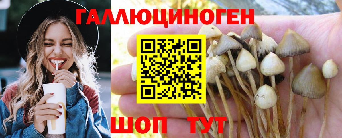 Галлюциногенные грибы Magic Shrooms  Вход с VPN  Белорецк  Псилоцибиновые грибы Psilocybine cubensis 