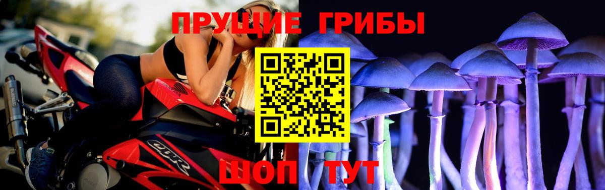Галлюциногенные грибы мицелий Белорецк